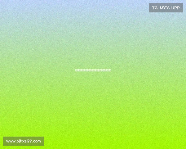 法甲中场新星崛起：技术、视野与控制力的完美结合